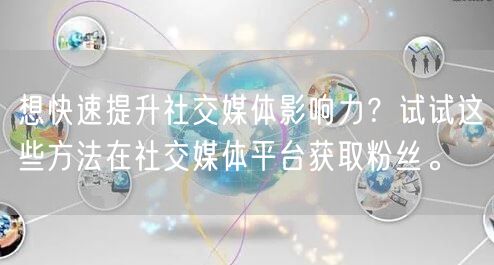 想快速提升社交媒体影响力？试试这些方法在社交媒体平台获取粉丝。