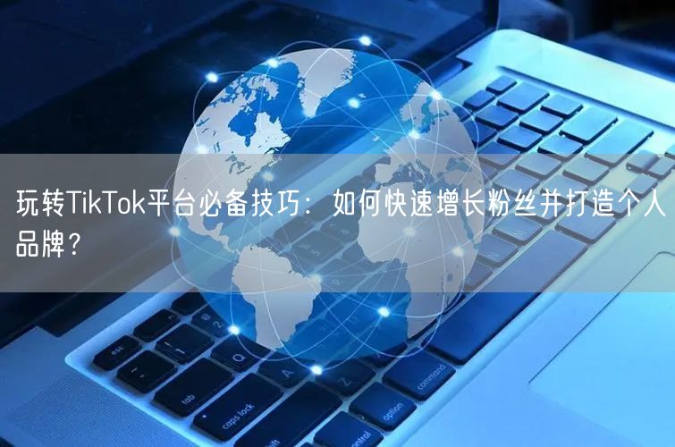 玩转TikTok平台必备技巧：如何快速增长粉丝并打造个人品牌？