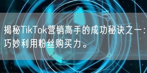 揭秘TikTok营销高手的成功秘诀之一：巧妙利用粉丝购买力。