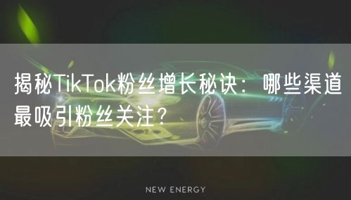 揭秘TikTok粉丝增长秘诀：哪些渠道最吸引粉丝关注？