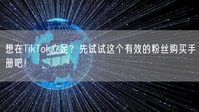 想在TikTok立足？先试试这个有效的粉丝购买手册吧！