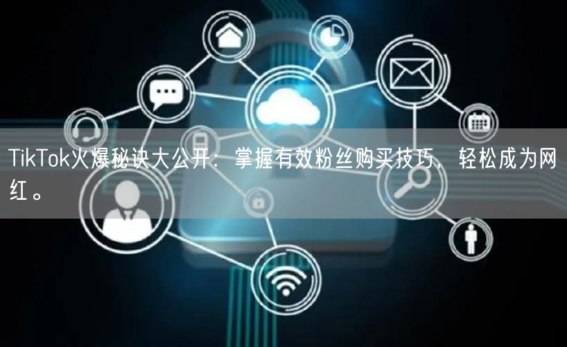 TikTok火爆秘诀大公开：掌握有效粉丝购买技巧，轻松成为网红。