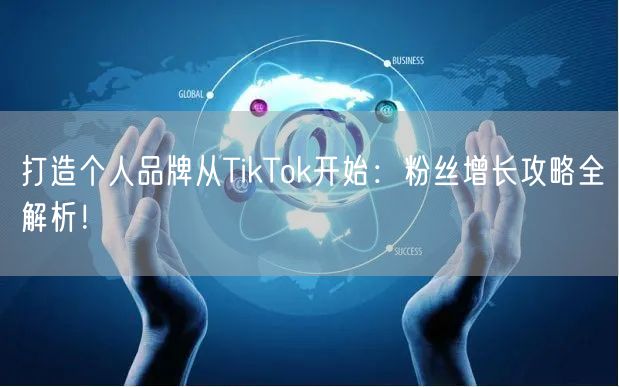 打造个人品牌从TikTok开始：粉丝增长攻略全解析！