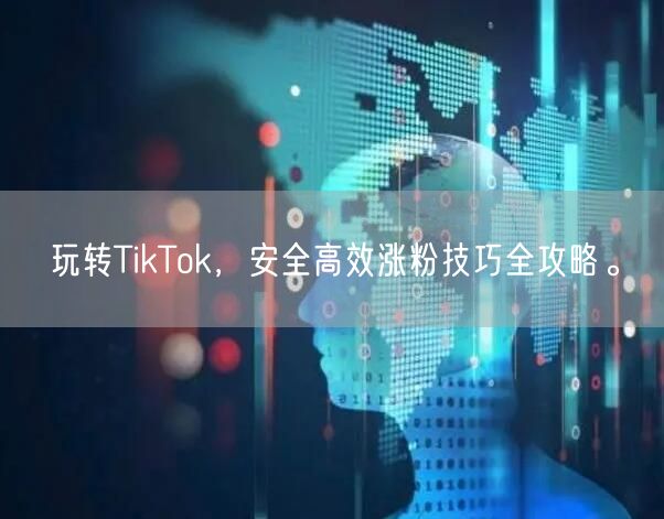 玩转TikTok，安全高效涨粉技巧全攻略。