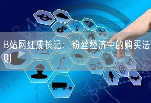 B站网红成长记：粉丝经济中的购买法则