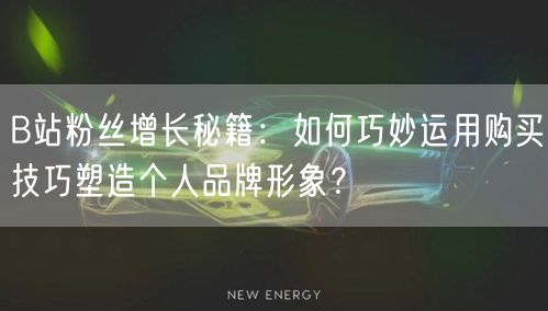 B站粉丝增长秘籍：如何巧妙运用购买技巧塑造个人品牌形象？