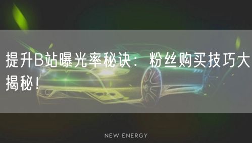 提升B站曝光率秘诀：粉丝购买技巧大揭秘！