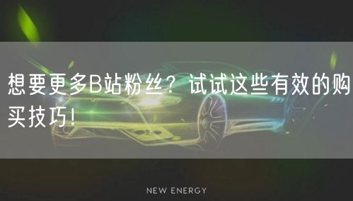 想要更多B站粉丝？试试这些有效的购买技巧！