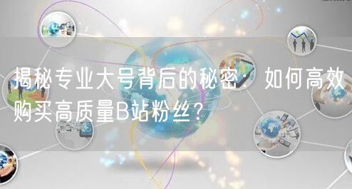 揭秘专业大号背后的秘密：如何高效购买高质量B站粉丝？