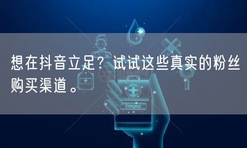 想在抖音立足？试试这些真实的粉丝购买渠道。