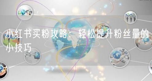 小红书买粉攻略：轻松提升粉丝量的小技巧
