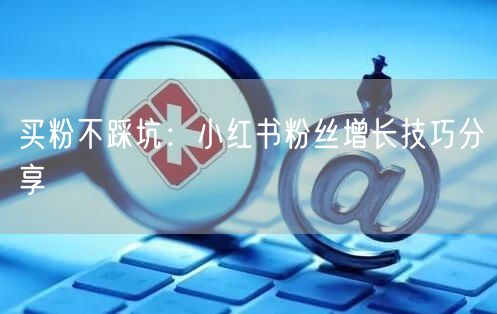 买粉不踩坑：小红书粉丝增长技巧分享