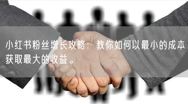 小红书粉丝增长攻略：教你如何以最小的成本获取最大的收益。