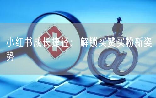 小红书成长捷径：解锁买赞买粉新姿势
