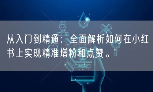 从入门到精通：全面解析如何在小红书上实现精准增粉和点赞。