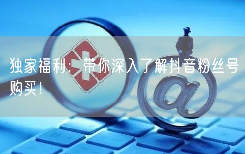 独家福利：带你深入了解抖音粉丝号购买！