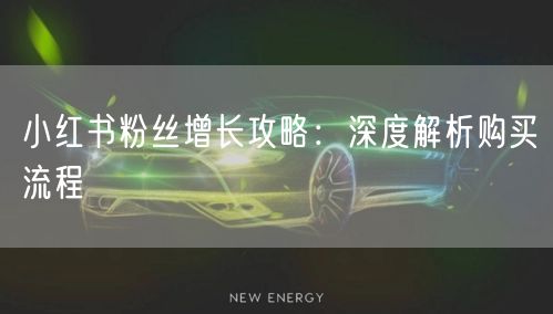 小红书粉丝增长攻略：深度解析购买流程