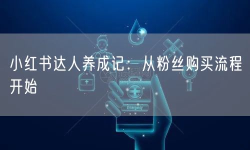 小红书达人养成记：从粉丝购买流程开始