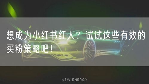 想成为小红书红人？试试这些有效的买粉策略吧！