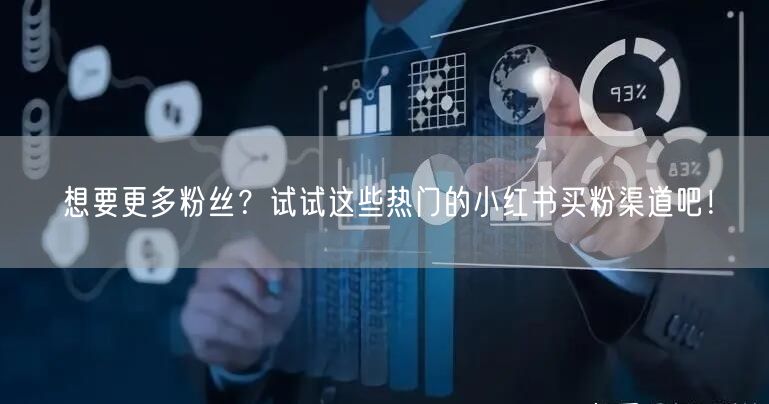 想要更多粉丝？试试这些热门的小红书买粉渠道吧！