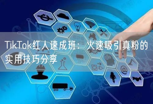 TikTok红人速成班：火速吸引真粉的实用技巧分享