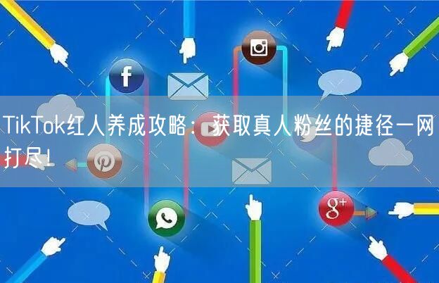 TikTok红人养成攻略：获取真人粉丝的捷径一网打尽！