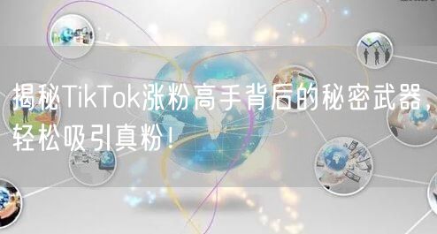 揭秘TikTok涨粉高手背后的秘密武器，轻松吸引真粉！